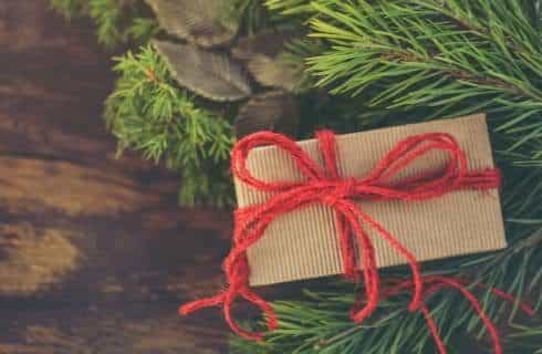 Close up view of a pine tree with a small gift wrapped in tan paper and red ribbon in the tree