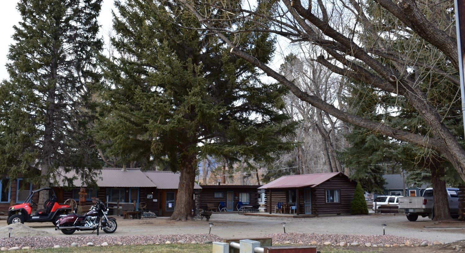 Multiple log cabins with blue painted doors and trim surrounded by large pine trees