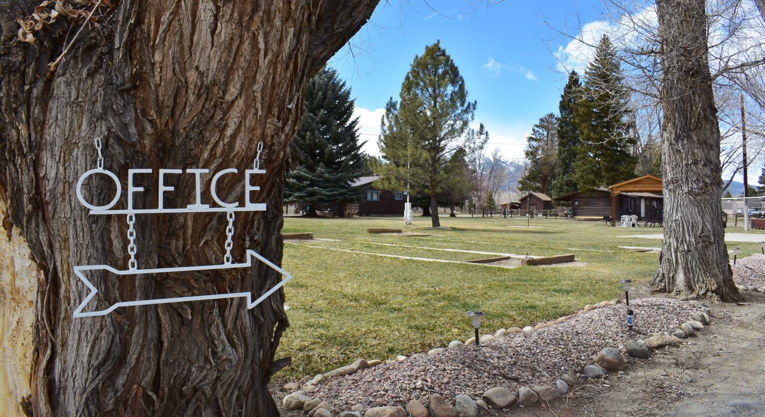 Close up view of a large tree with a white sign with an arrow to the office near large grassy field with horseshoe pits and sand volleyball