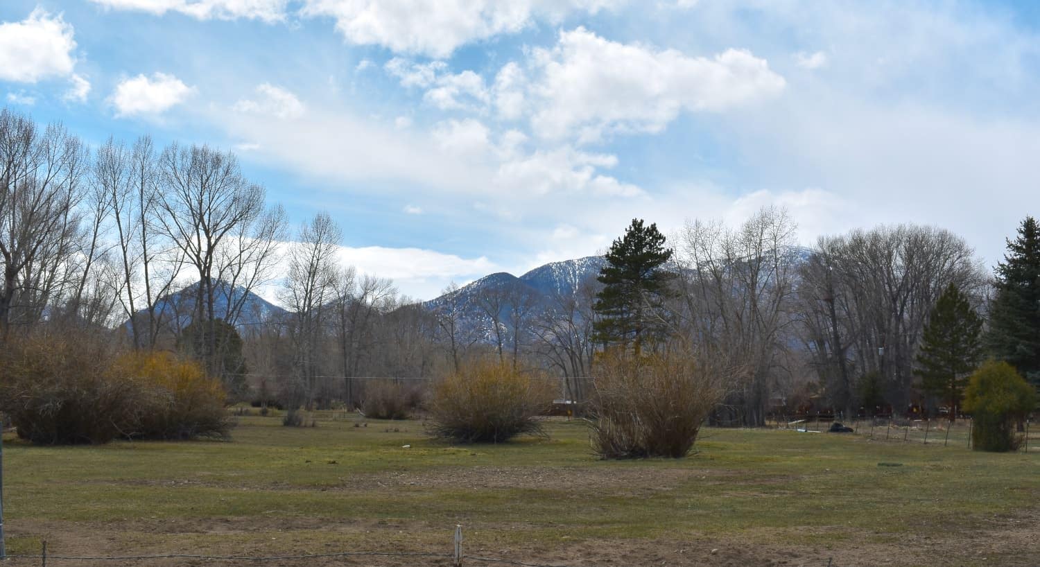 Green grassy field and large trees with snow capped mountains in the background