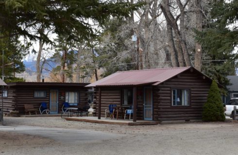 Multiple log cabins with blue painted doors and trim surrounded by large pine trees
