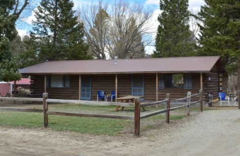 Large log cabin with blue painted doors and trim surrounded by large pine trees