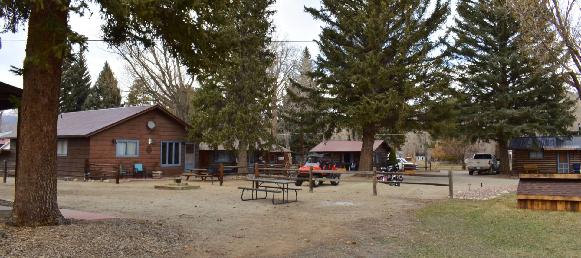 Multiple log cabins with blue painted doors and trim surrounded by large pine trees