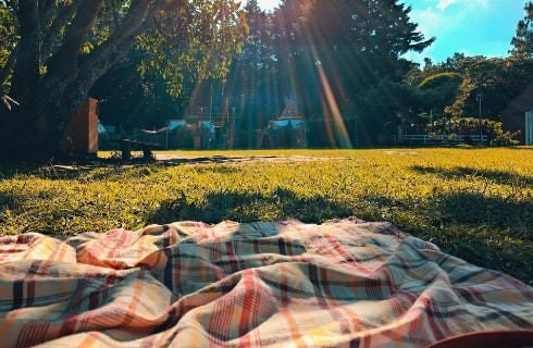 Plaid blanket on green grass with sun shining through the trees